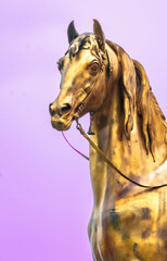 Statue of horse belongs to Thomas Munro Major-General, British Army, Governor of Madras. Bronze statue sculpted by Francis Chantrey. Chennai, Tamil Nadu, South India, India 