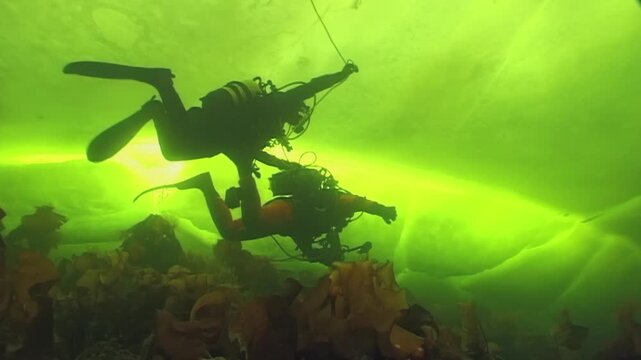 Two divers explore the cold, green-tinted depths under sheets of ice. The rocky ocean floor in the White Sea comes alive with strange arctic marine life.
