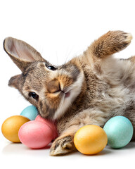 Cute fluffy bunny rabbit with colorful easter eggs on white background