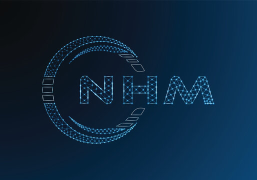 NHM low poly letter logo vector design. NHM lower poly logo design. Low poly logo.