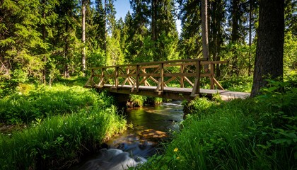 Wooden footbridge spanning a tranquil stream in a lush green forest