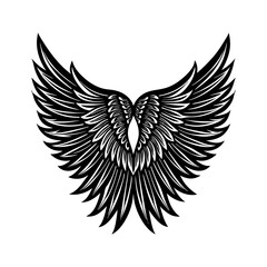 eagle wings vector art silhouette