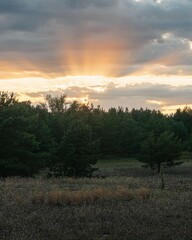 Sunset Over Forest with Sun Rays