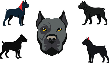 Cane Corso Color Vector Illustration