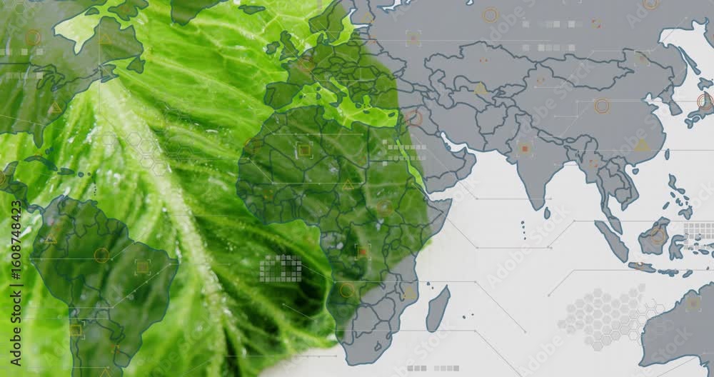 Aufkleber leaf entering left under light gliding over map, revealing borders icons merging with data overlays