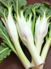 Obraz premium Belgian endive. Belgian endive, also known as witloof chicory or chicon, is a lettuce-like vegetable or salad green. Belgian endive was developed in Belgium in the 1850s and is nicknamed 