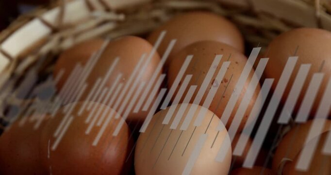 Translucent bar graphic fading in over wicker basket eggs, shifting heights, sliding for overlay