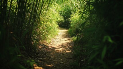 Fototapeta premium Explore a tranquil path through lush greenery. Nature invites you into a serene world. Discover the beauty of the outdoors. Generative AI