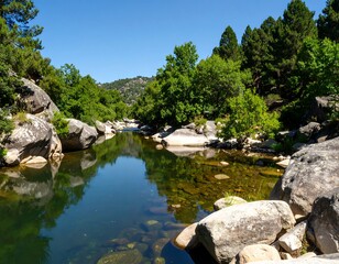 Serene river winding through a lush green valley.  Crystal-clear water reflects surrounding trees and rocks