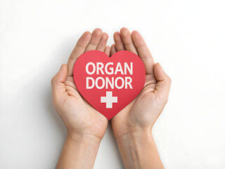 Hands holding a red heart with organ donor message and medical cross