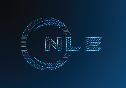 NLE low poly letter logo vector design. NLE lower poly logo design. Low poly logo.