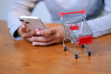 Shopping the go mobile e-commerce online retail user engagement home office close-up view digital convenience