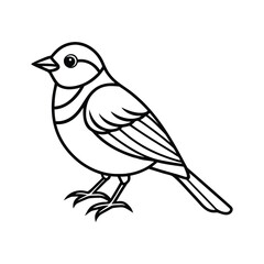 Bird line art, Bird line drawing, cute bird outline