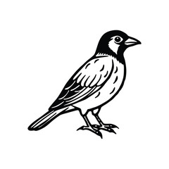 Obraz premium Bird line art, Bird line drawing, cute bird outline