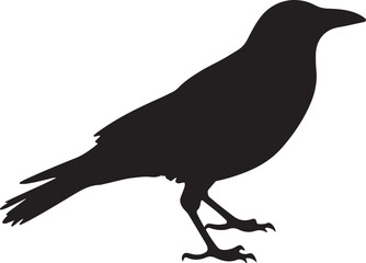 Obraz premium High contrast minimalist vector graphic silhouette isolated on transparent background