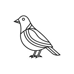 Bird line art, Bird line drawing, cute bird outline