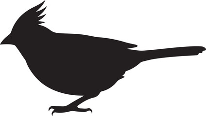 Minimalist vector silhouette of a northern cardinal isolated on transparent background