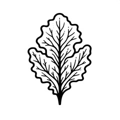 Lettuce Leaf Line Art SVG | Fresh Vegetable Icon