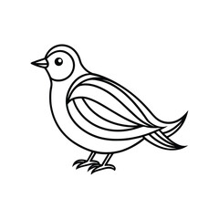 Bird line art, Bird line drawing, cute bird outline