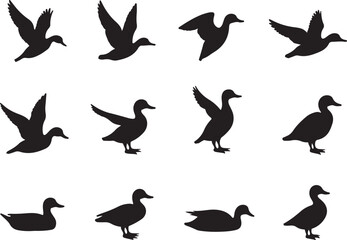 Abstract geometric shapes silhouette isolated on transparent background