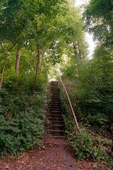Long wooden staircase in lush German forest landscape