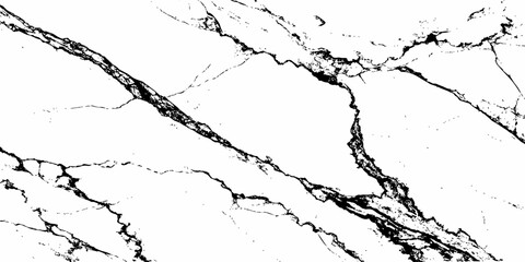 A high-contrast, monochromatic close-up of a natural stone surface, showcasing intricate, organic black veins sharply contrasting against a pure white background. 
