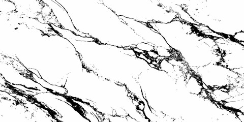 A high-contrast, monochromatic close-up of a natural stone surface, showcasing intricate, organic black veins sharply contrasting against a pure white background. 