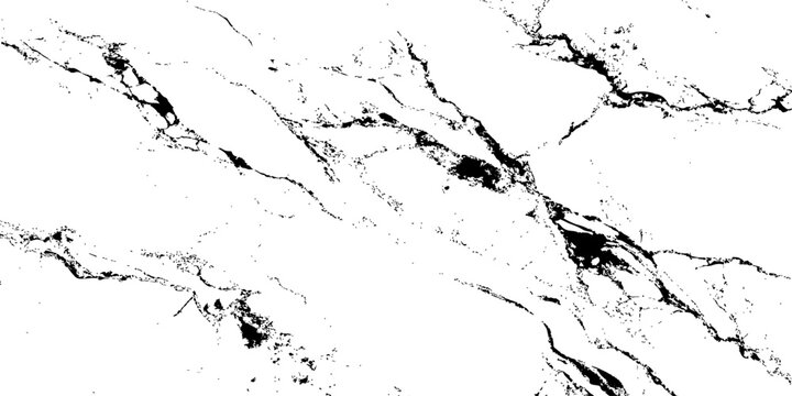 Create a high-resolution, seamless white marble texture with intricate black veining patterns. The design should evoke elegance and natural stone aesthetics,