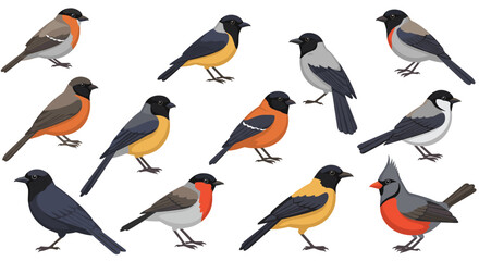 Fototapeta premium Colorful songbirds collection on white background