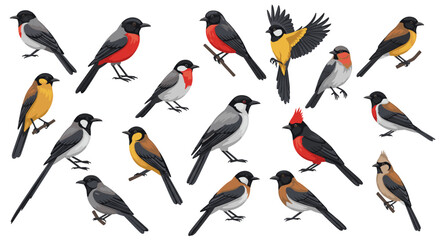 Diverse collection of colorful songbirds in flat style on white background