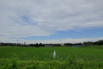 日本　埼玉の風景