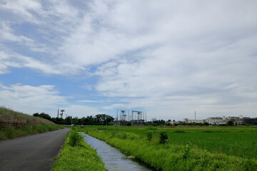 日本　埼玉の風景