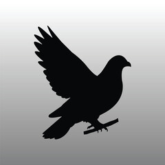 Silhouette of a Pigeon perched on a branch with outstretched wing