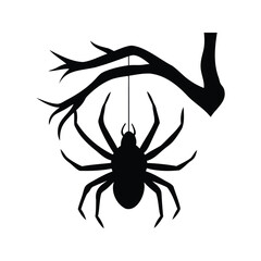 A Silhouette of a Spider Hanging from a Branch, Halloween themed image