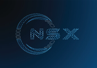 NSX low poly letter logo vector design. NSX lower poly logo design. Low poly logo.