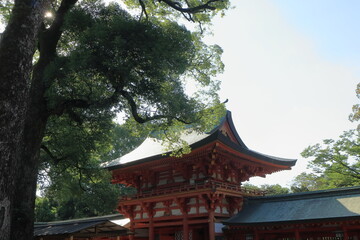 日本　埼玉の風景