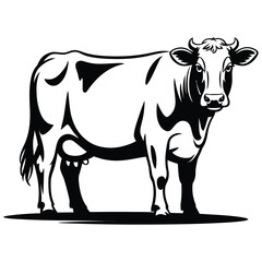 cow on a white background