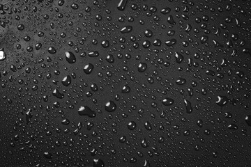 water drops on black background. Macro.
