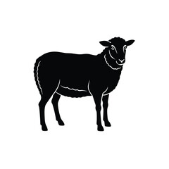 sheep silhouette on white background