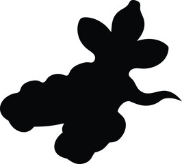 Ginger roots silhouette, Black and white illustration of ginger root with leaves
