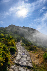 On the way to the summit of Pico Ruivo on the PR 1.2 trail on the island of Madeira