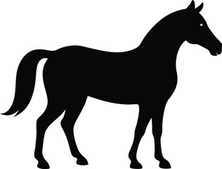 Black and white horse silhouette vector illustration design