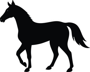 Black and white horse silhouette vector illustration design