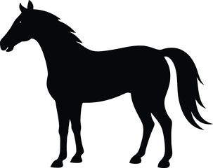 Black and white horse silhouette vector illustration design