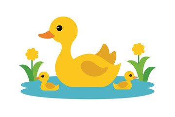 Mother Duck With Ducklings In Pond Sunny On White Background