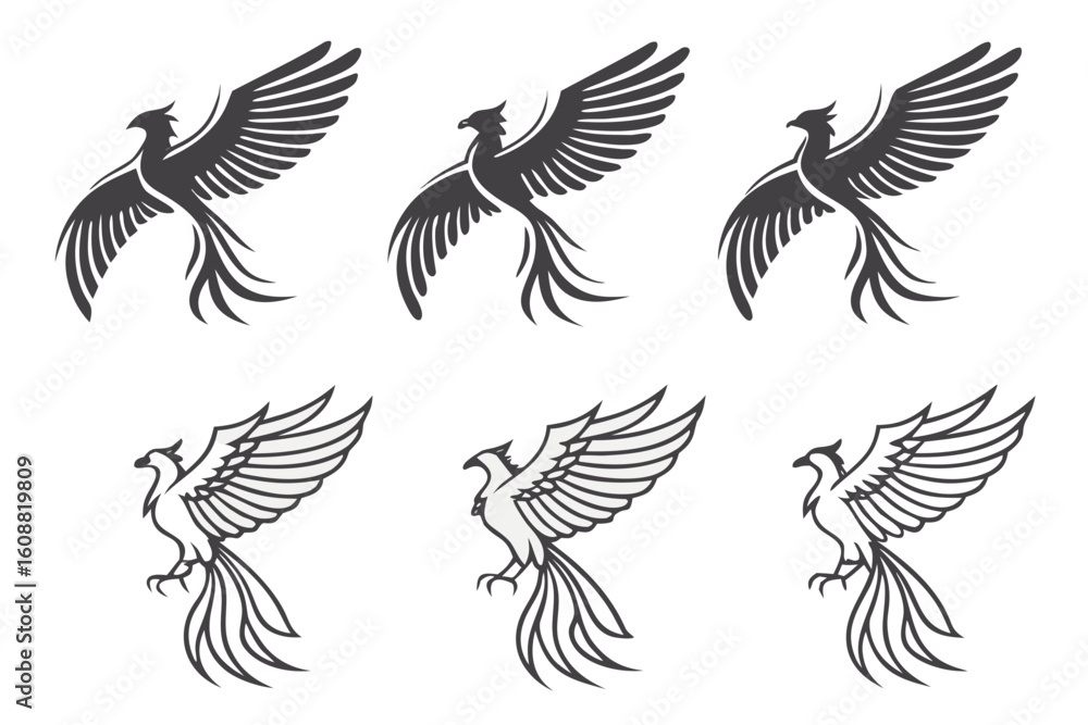 Poster a set of phoenix bird illustrations isolated on white background in various flying positions and des