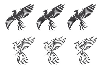 Obraz premium A set of phoenix bird illustrations isolated on white background in various flying positions and design styles
