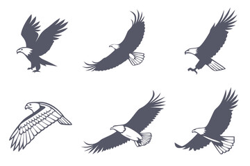 Obraz premium A collection of six eagle silhouettes in various flying poses, isolated on white background