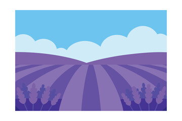Field Of Lavender Under Blue Sky Flat Design