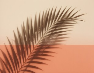 Fototapeta premium Palm Leaf Shadow - Tropical Leaf Silhouette | Natural Palm Shadow | Botanical Shadow Pattern | Exotic Leaf Design | Tropical Background